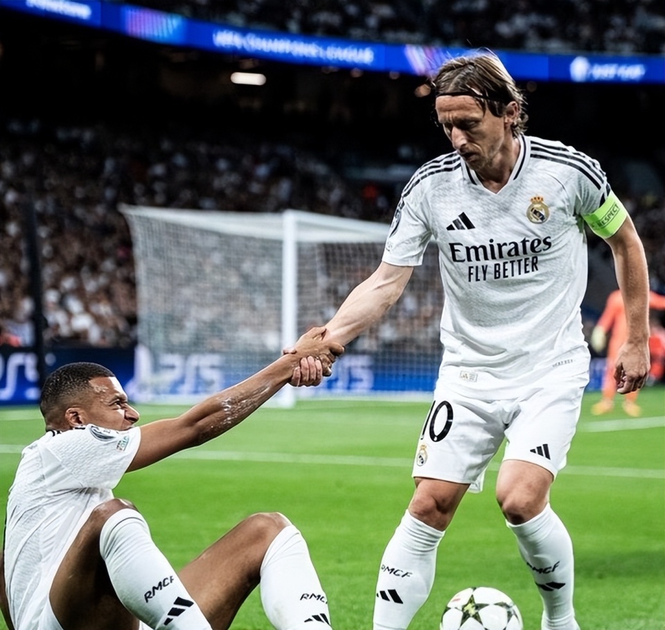 但篮板与护 但篮板与护